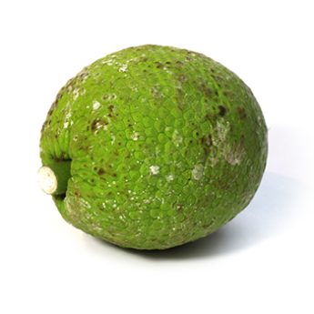 Exotimex_nieuwe_producten_broodvrucht