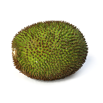 Exotimex_nieuwe_producten_kathar